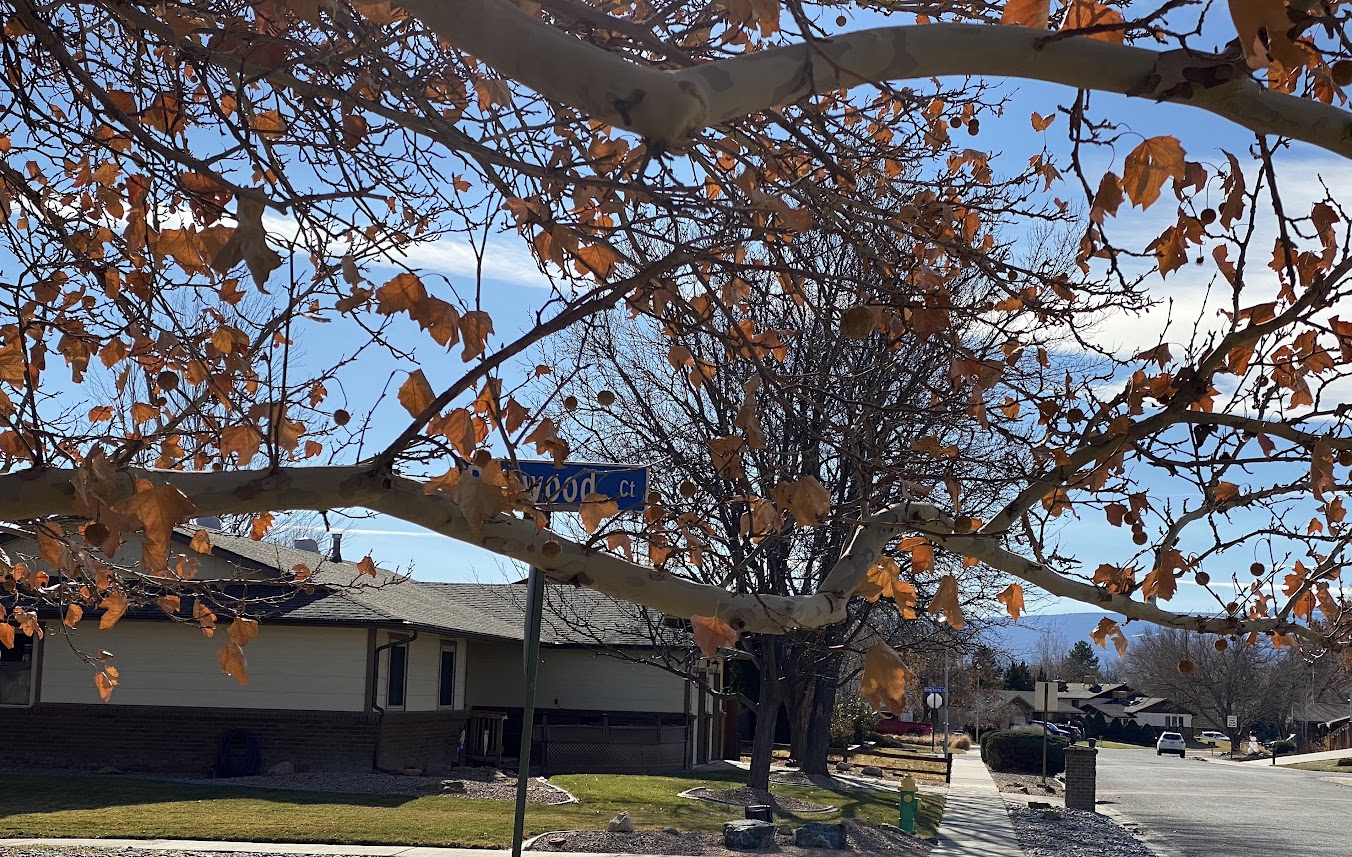 Spring Valley Homeowners Association